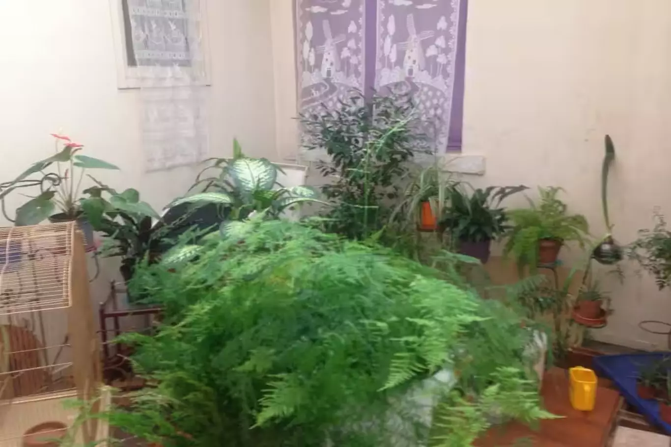 Hôtel près de Mont-de-Marsan Hôtel près de Mont-de-Marsan